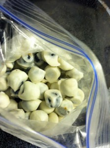 Yogurt Covered Blueberries