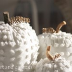 Vintage White Chenille Blanket Pumpkins