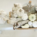 White Drop Cloth Pumpkins