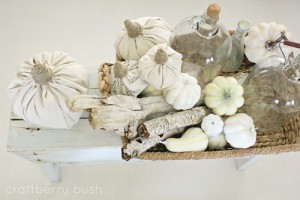 White Drop Cloth Pumpkins