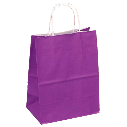 Purple Gift Bags with White Twisted Handle, Birthday Gift Bags